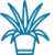Папоротники