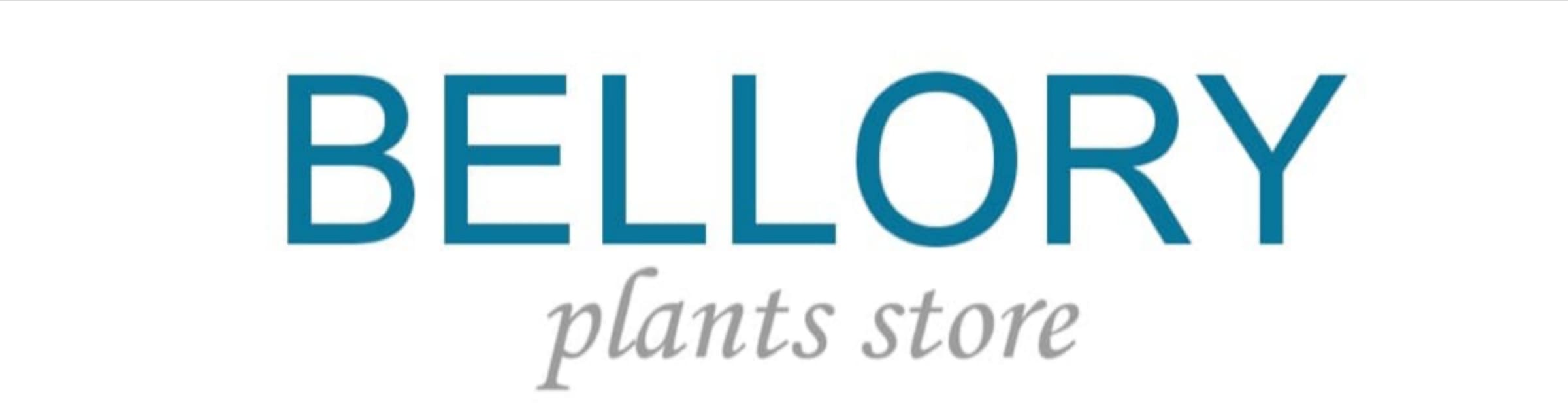 Bellory